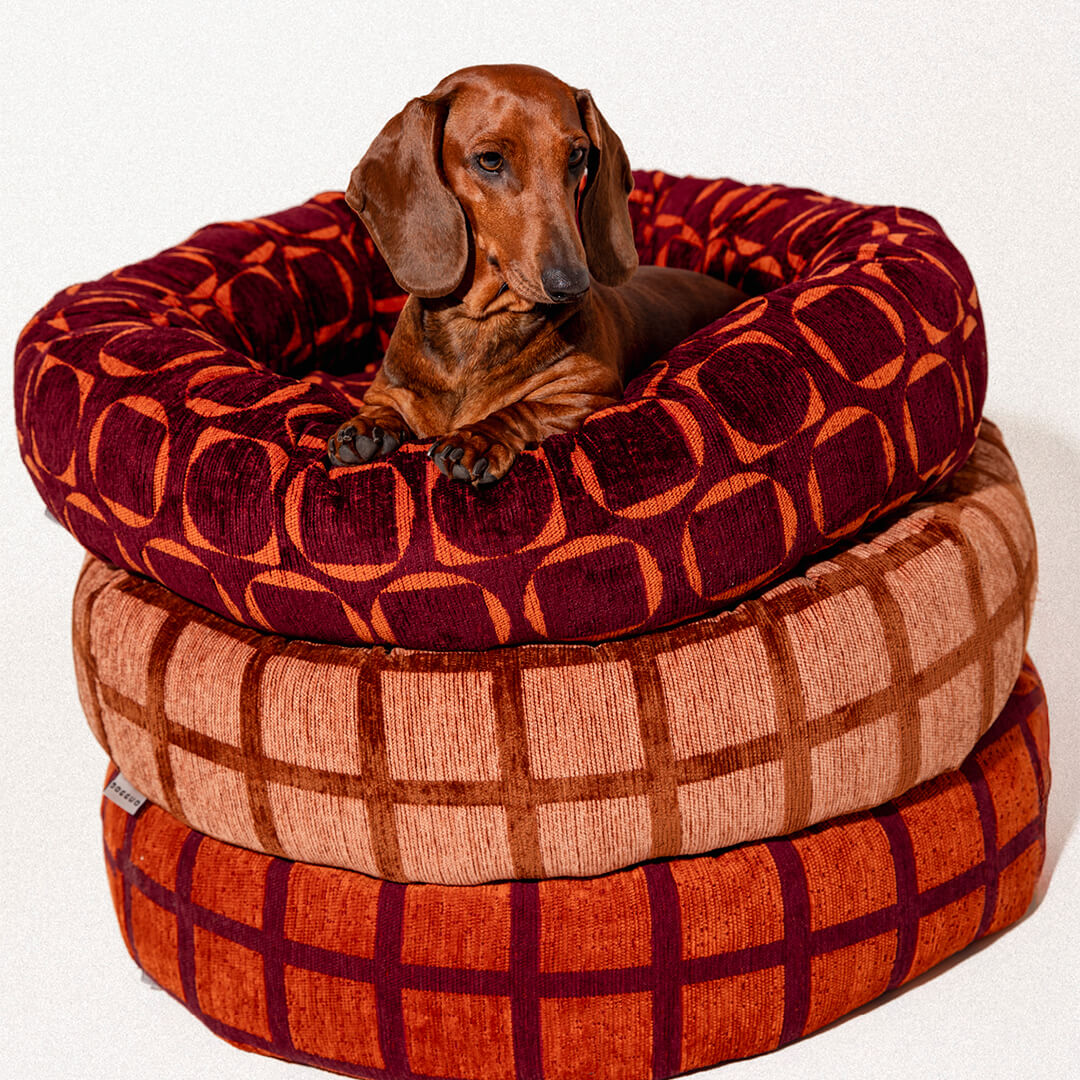 DOGGUO - Check ronde hondenmand - Mokka/Bruin