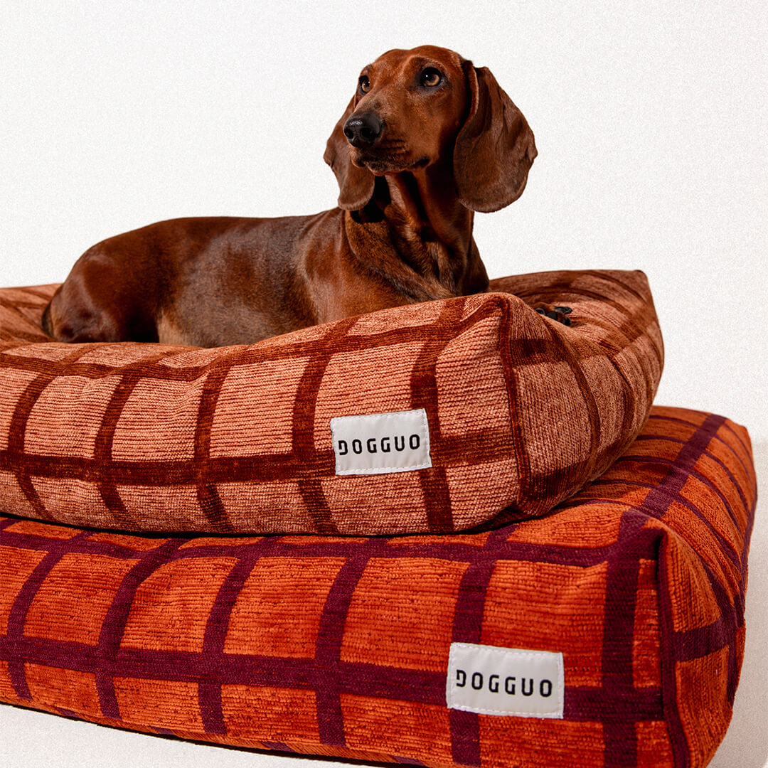 DOGGUO - Check hondenmand - Mokka/Bruin