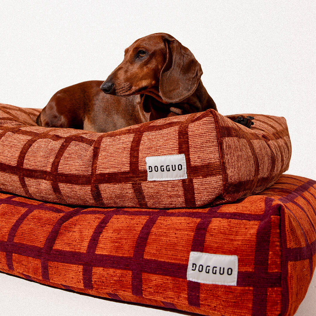 DOGGUO - Check hondenmand - Oranje/Bordeaux