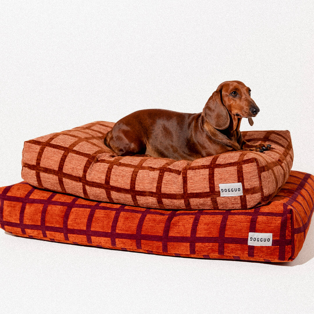 DOGGUO - Check hondenmand - Mokka/Bruin