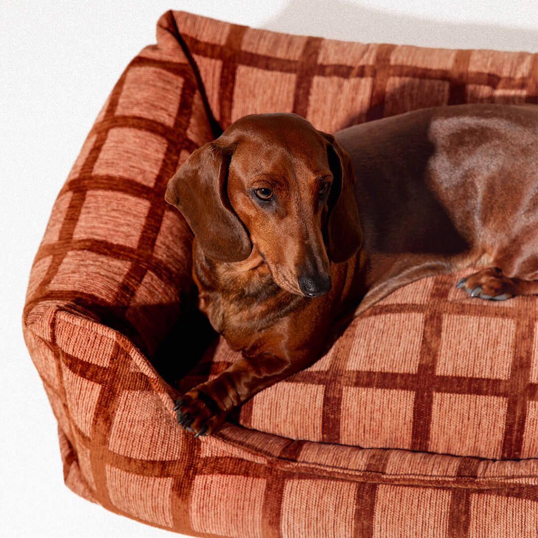 DOGGUO - Check sofa hondenmand - Mokka/Bruin