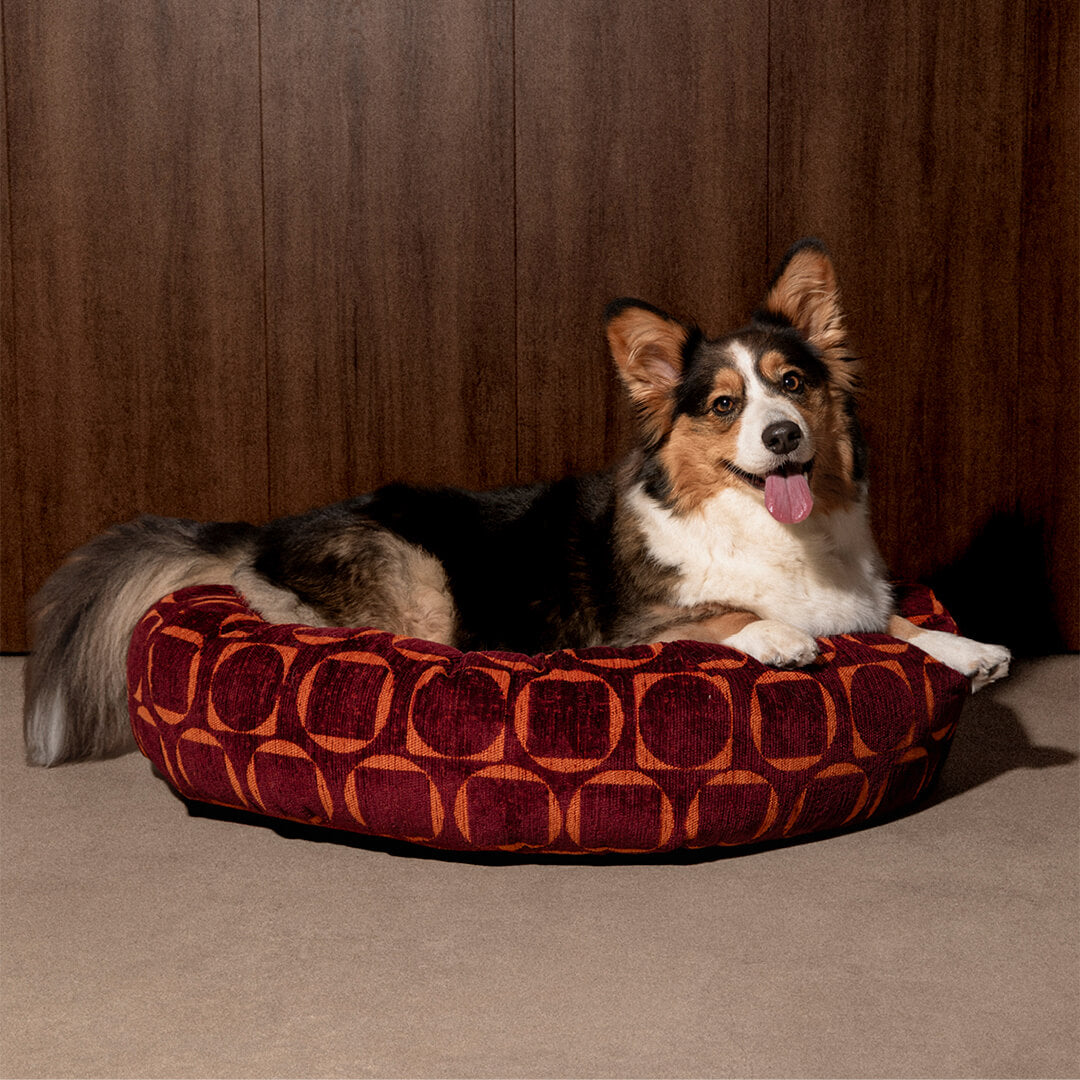 DOGGUO - Retro ronde hondenmand - Bordeaux/Oranje