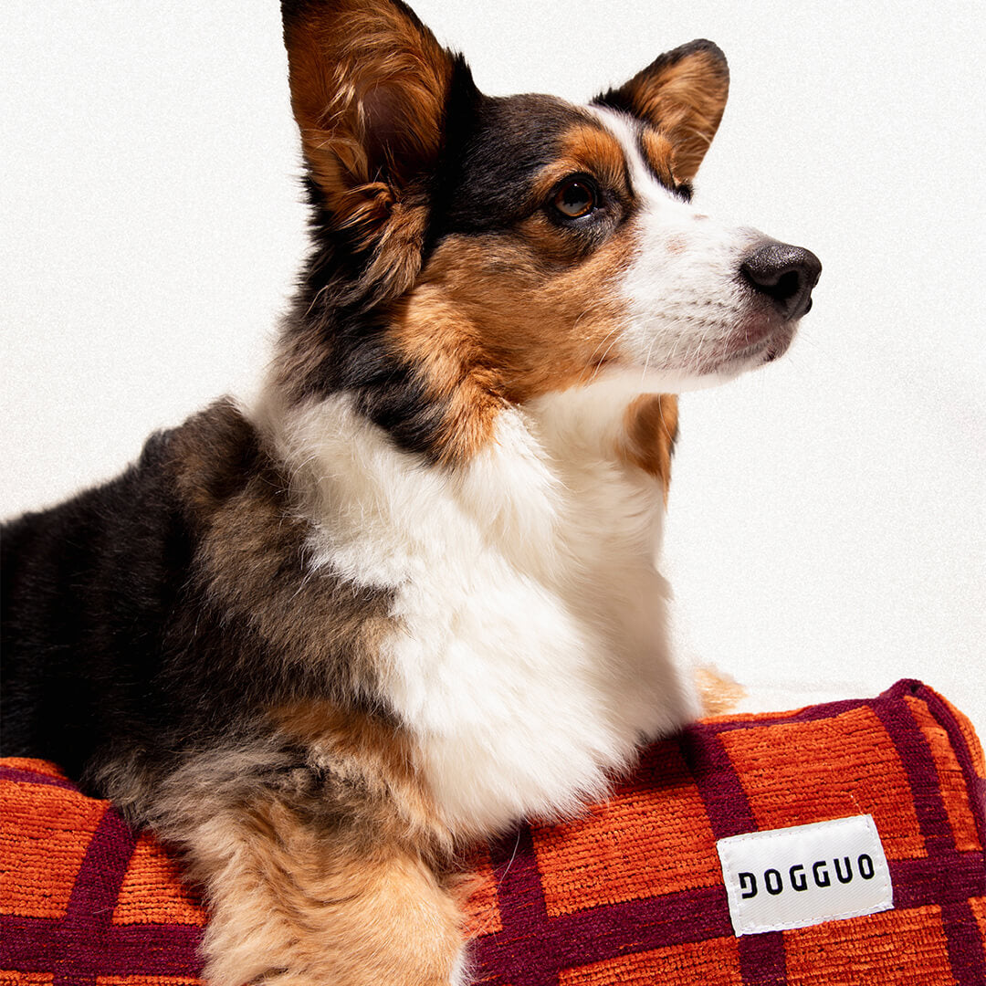 DOGGUO - Check hondenmand - Oranje/Bordeaux