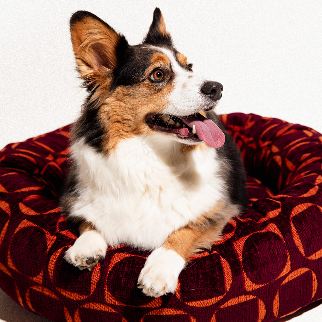 DOGGUO - Retro ronde hondenmand - Bordeaux/Oranje