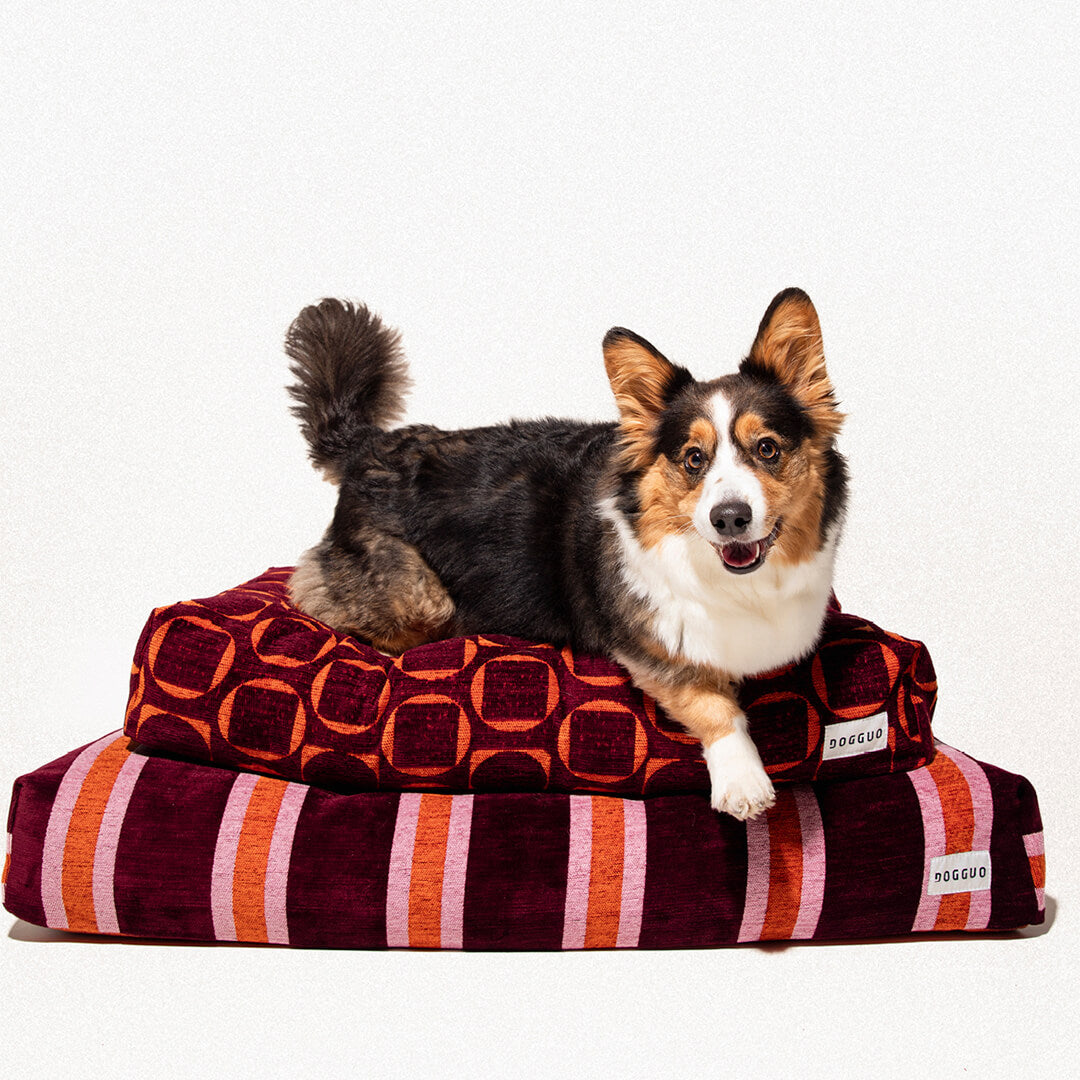 DOGGUO - Streep hondenmand - Bordeaux/Oranje/Roze