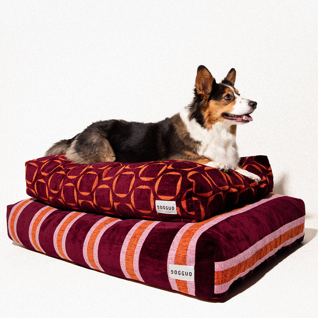 DOGGUO - Retro hondenmand - Bordeaux/Oranje