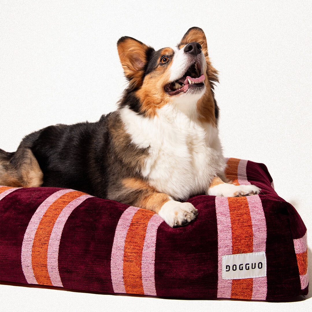 DOGGUO - Streep hondenmand - Bordeaux/Oranje/Roze