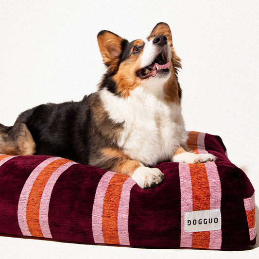 DOGGUO - Streep hondenmand - Bordeaux/Oranje/Roze