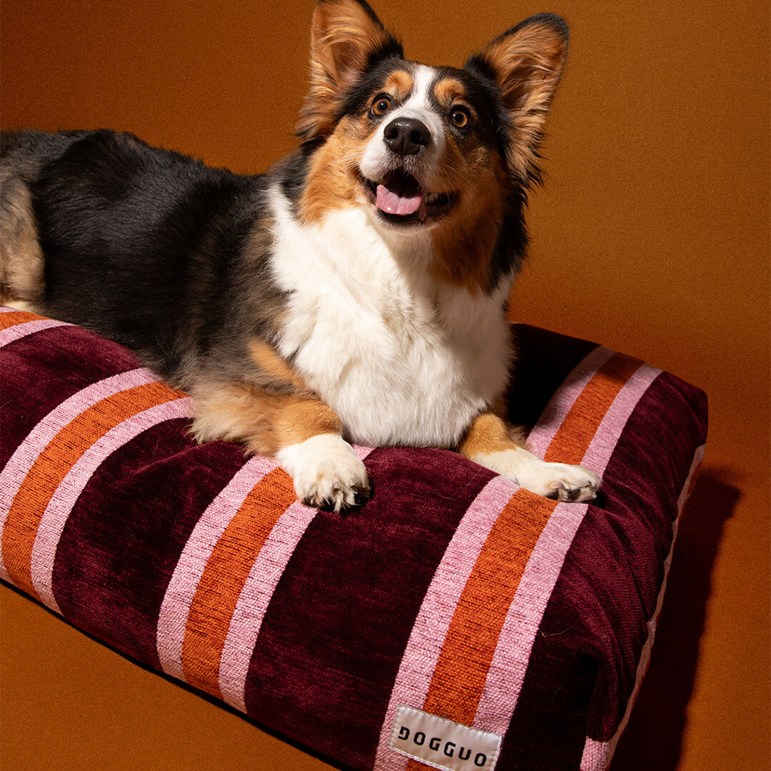 DOGGUO - Streep hondenmand - Bordeaux/Oranje/Roze