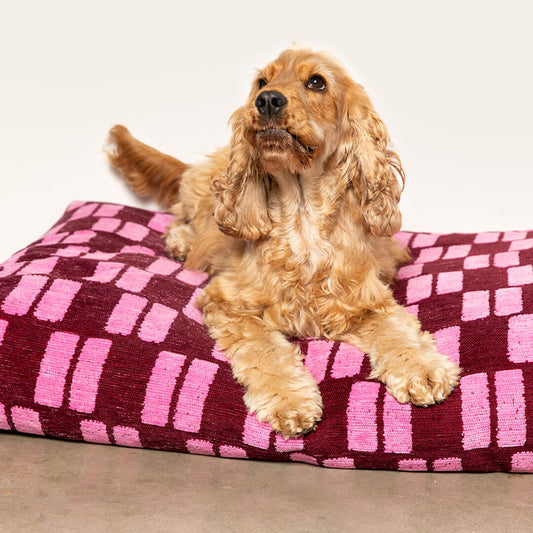 Retro Block Dog Bed - Bordeaux / Pink