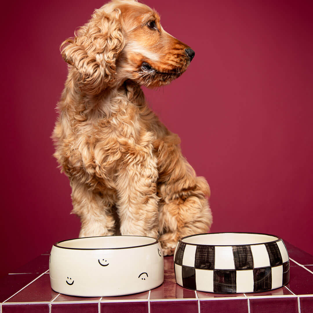 DOGGUO - Block Dogbowl - Black / Beige