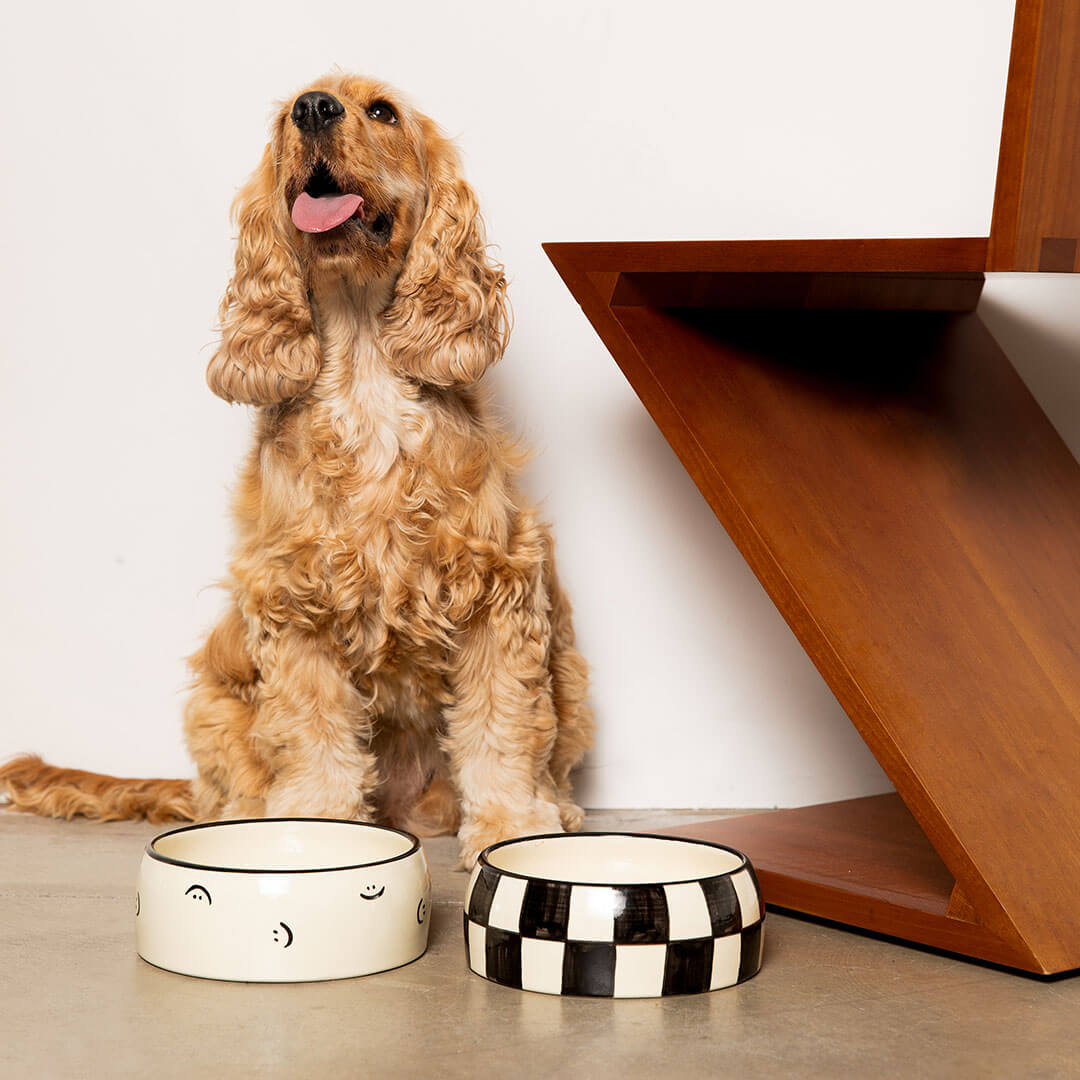 DOGGUO - Block Dogbowl - Black / Beige