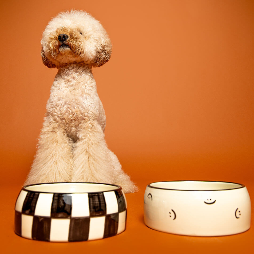 DOGGUO - Block Dogbowl - Black / Beige