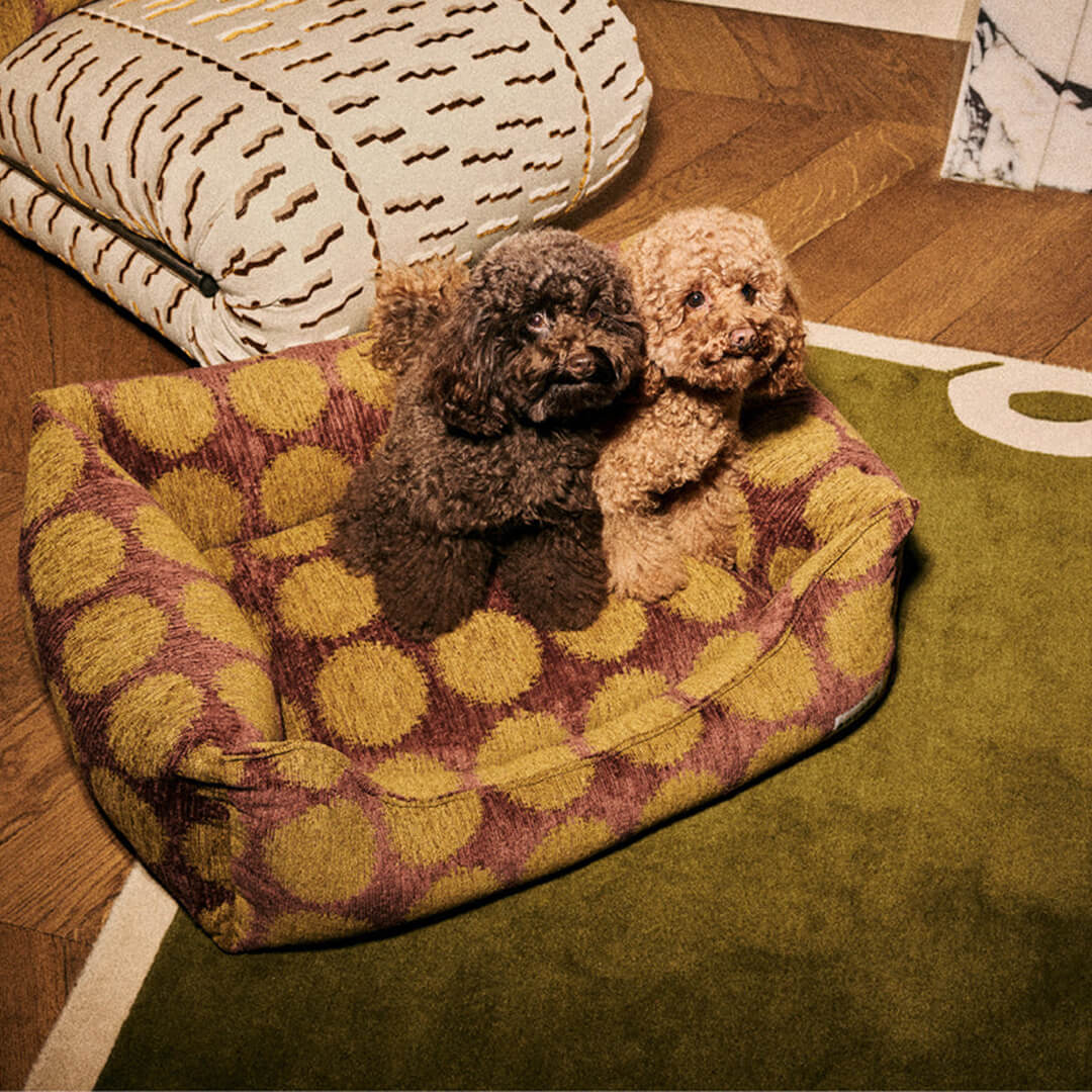 DOGGUO - Stip sofa hondenmand - Bruin/Groen