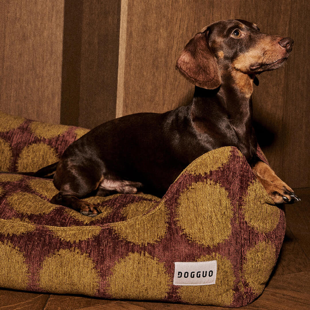 DOGGUO - Stip sofa hondenmand - Bruin/Groen