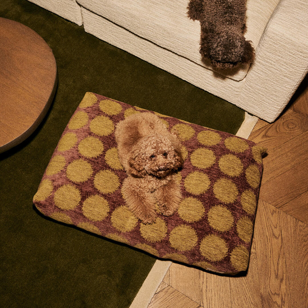 DOGGUO - Retro hondenmand - Bruin/Groen