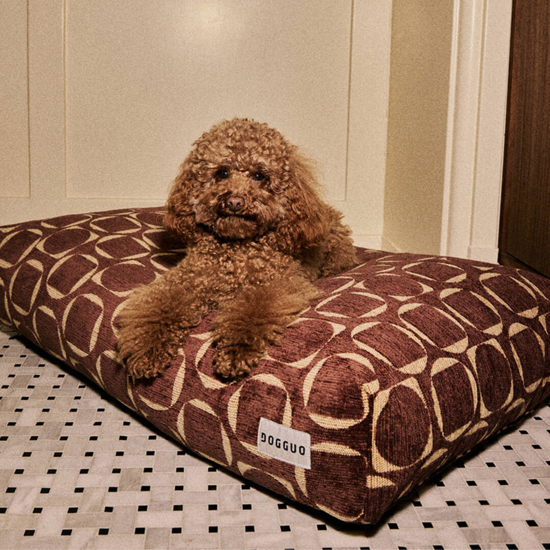 DOGGUO - Retro hondenmand - Bruin/Geel