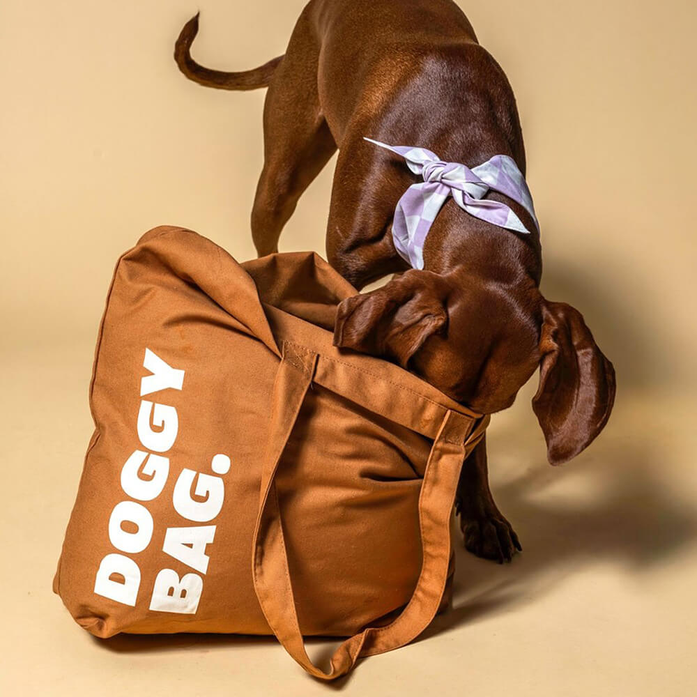 Heyday - Doggy Bag Ginger