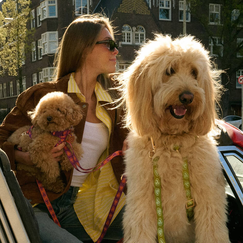 Furmey - Halsband Orange