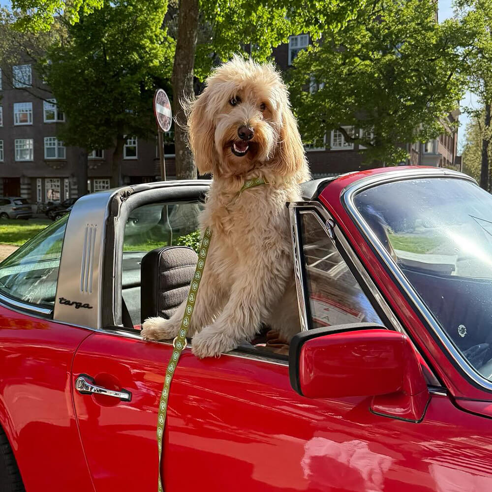 Furmey - Halsband Matcha Green