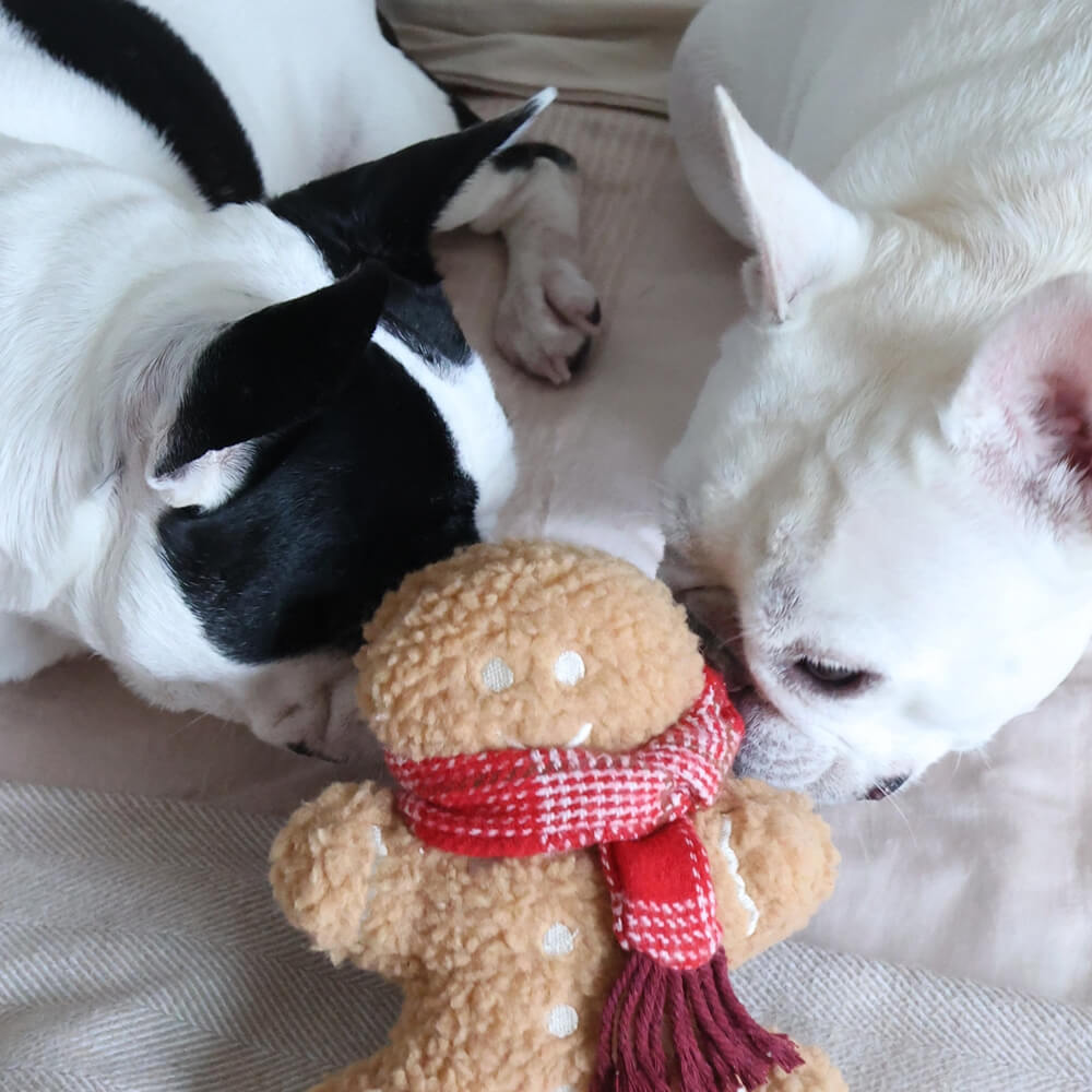 Lambwolf Collective - Mister Gingerbread