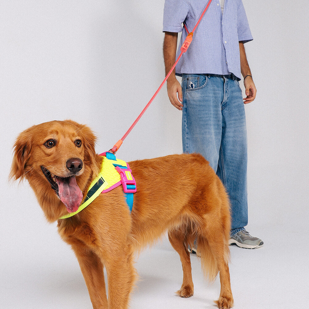 Zee.Dog - Fly-harnas CMYK