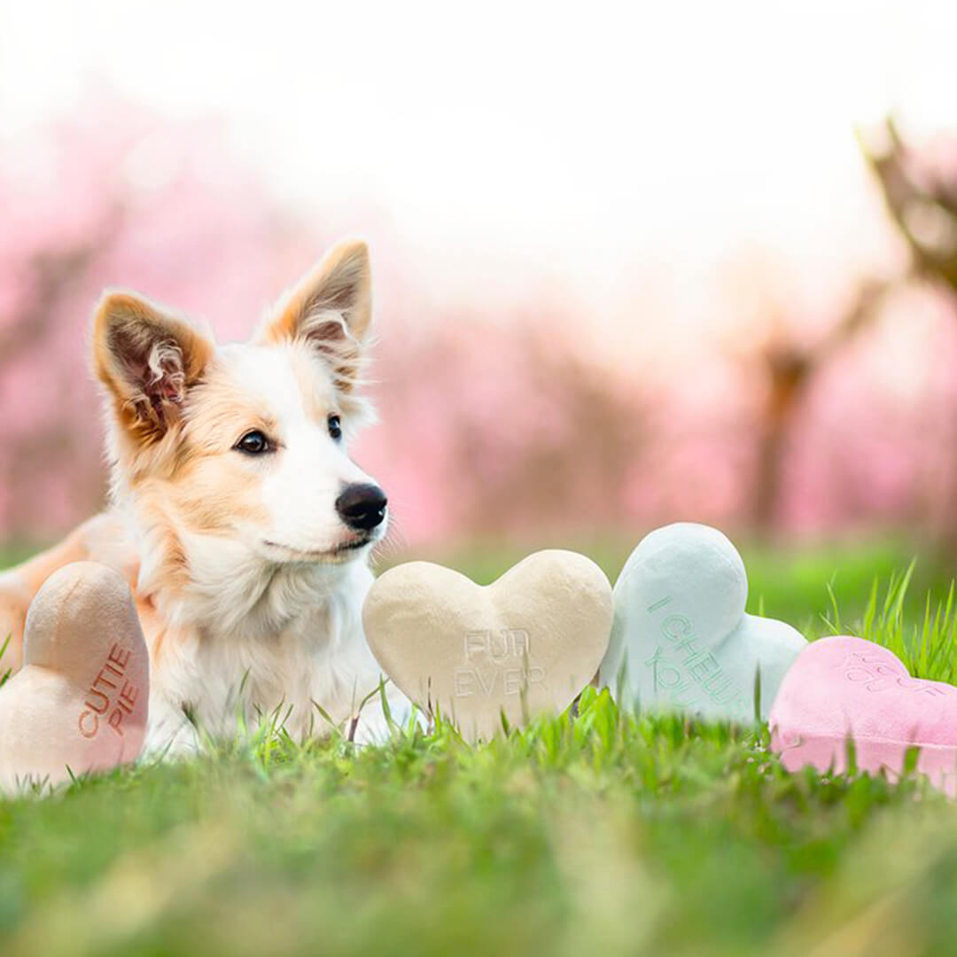 Beeztees - Hartendief - I chews you (12 cm)