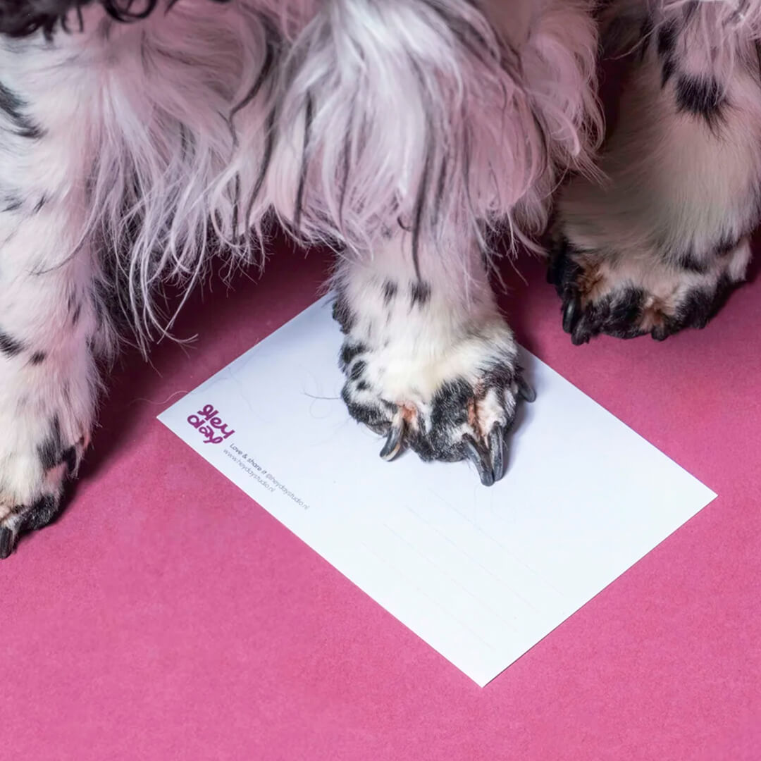 Heyday - Wenskaart - Hugsky for you