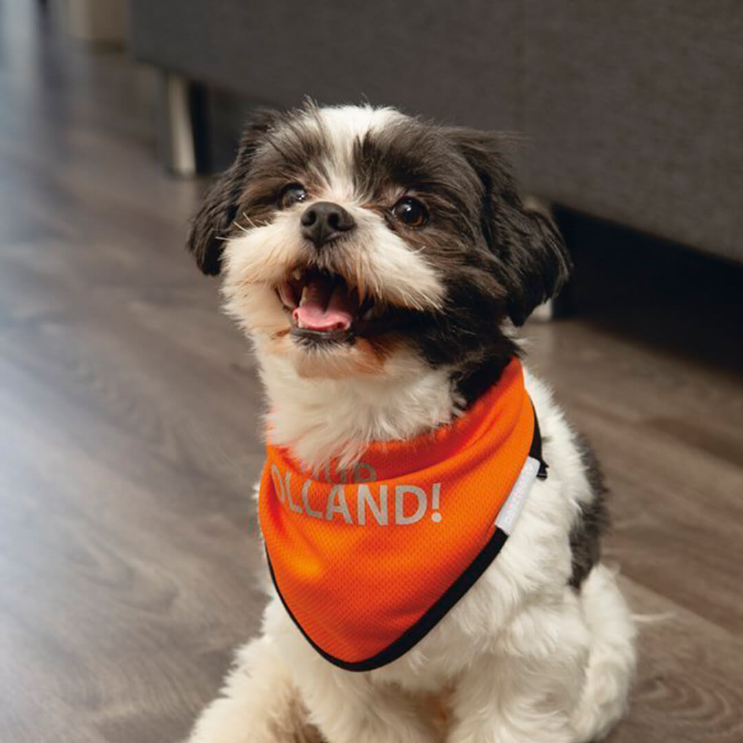 Beeztees - Hup Holland Bandana