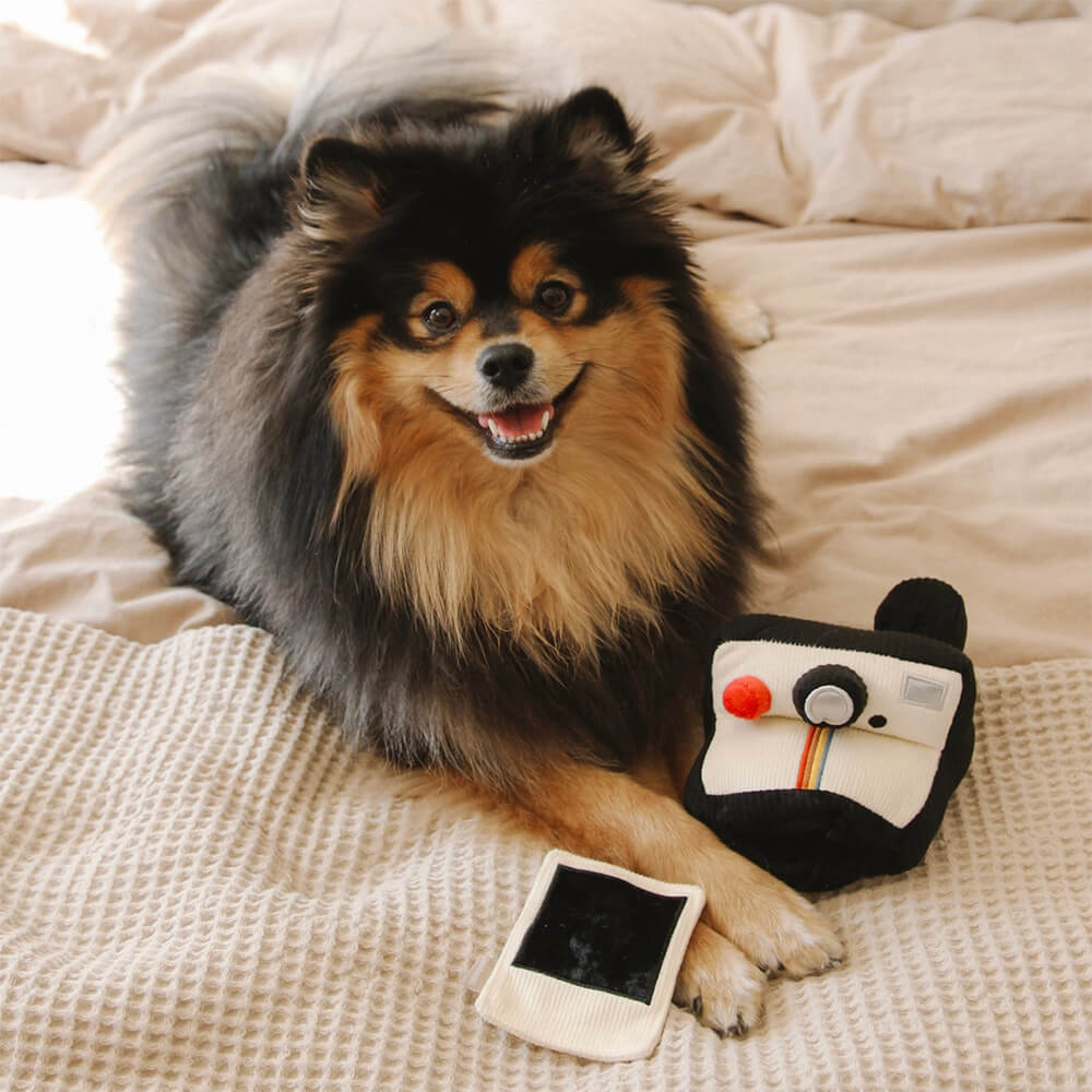 Lambwolf Collective - Instant Camera (15 cm)
