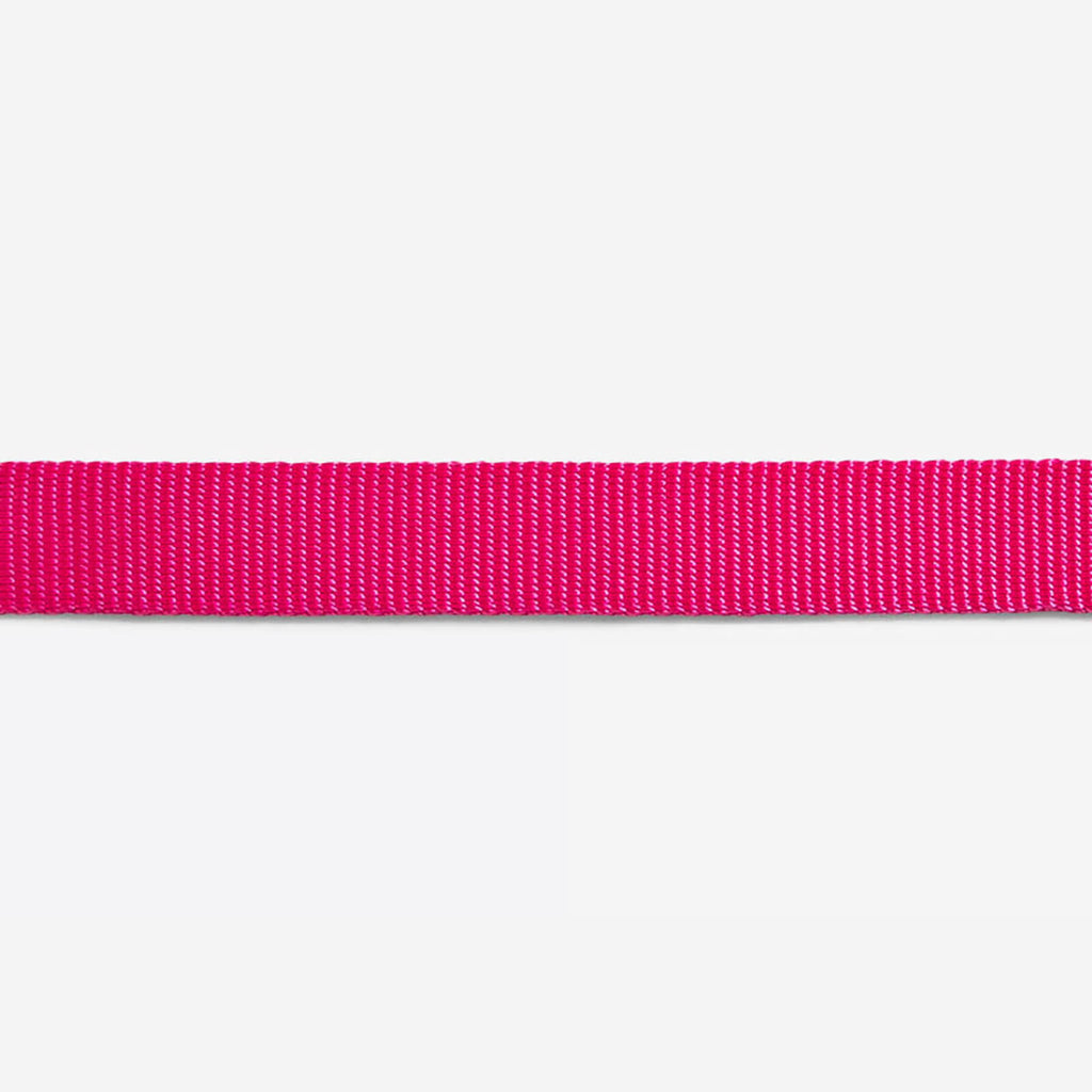 Zee.Cat - Kattentuigje + Riem Set Pink Led