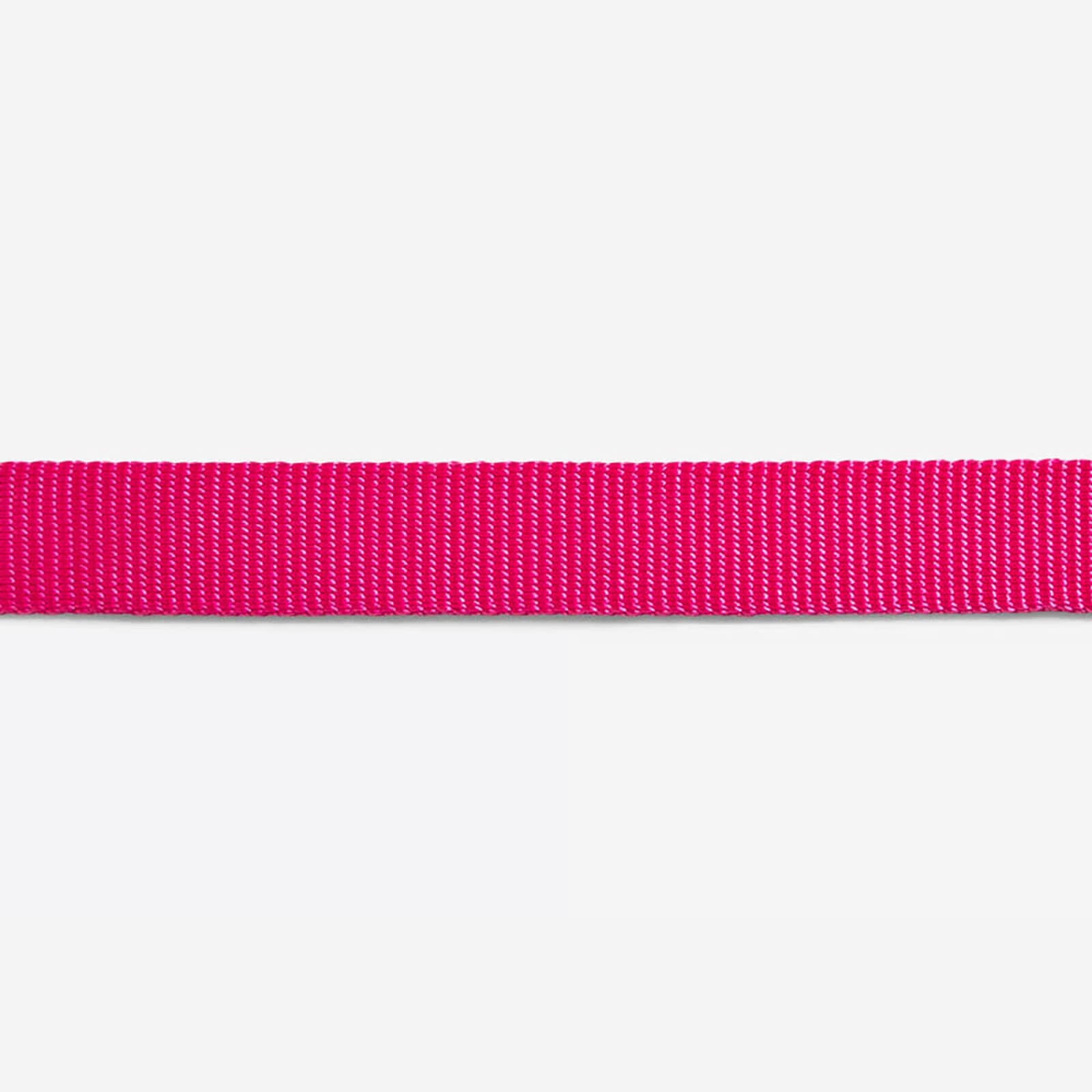 Zee.Cat - Kattentuigje + Riem Set Pink Led