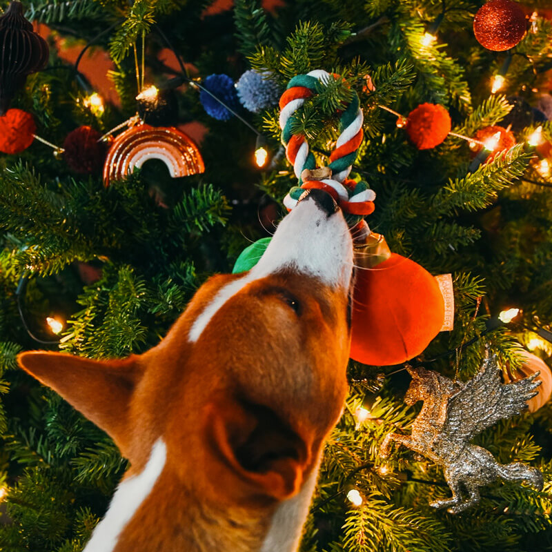 Beeztees - Kerstbal Jingle (25 cm)