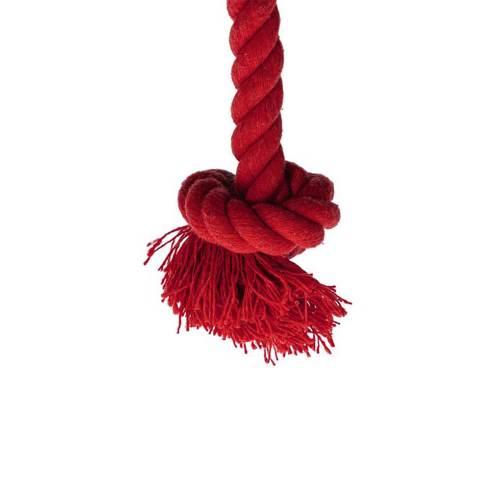 Beeztees - Kerstboom Spar (30 cm)
