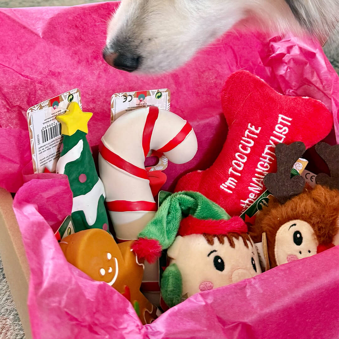 Kerstpakket - Cute Sante