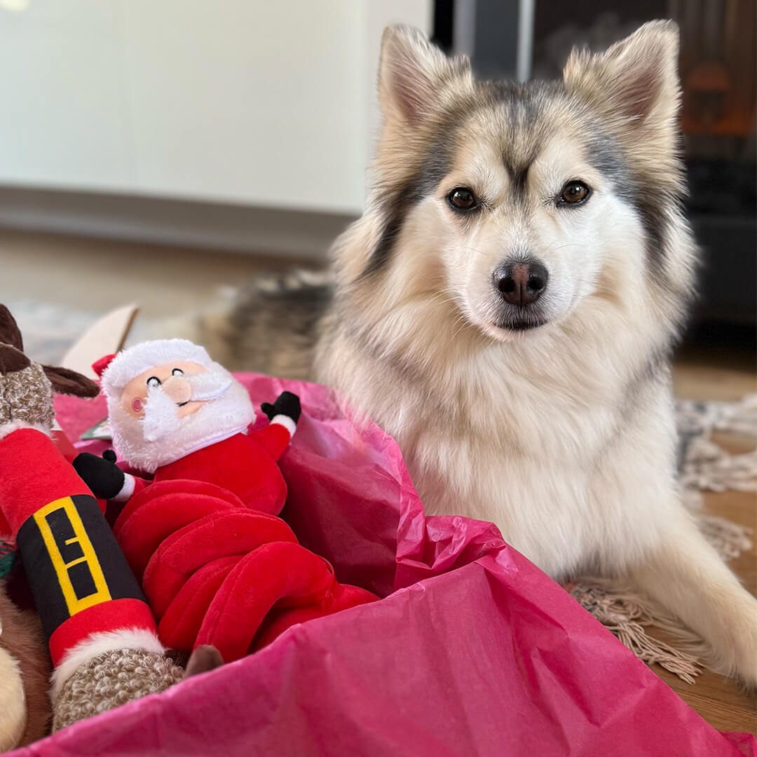 Kerstpakket - Loooong Christmas