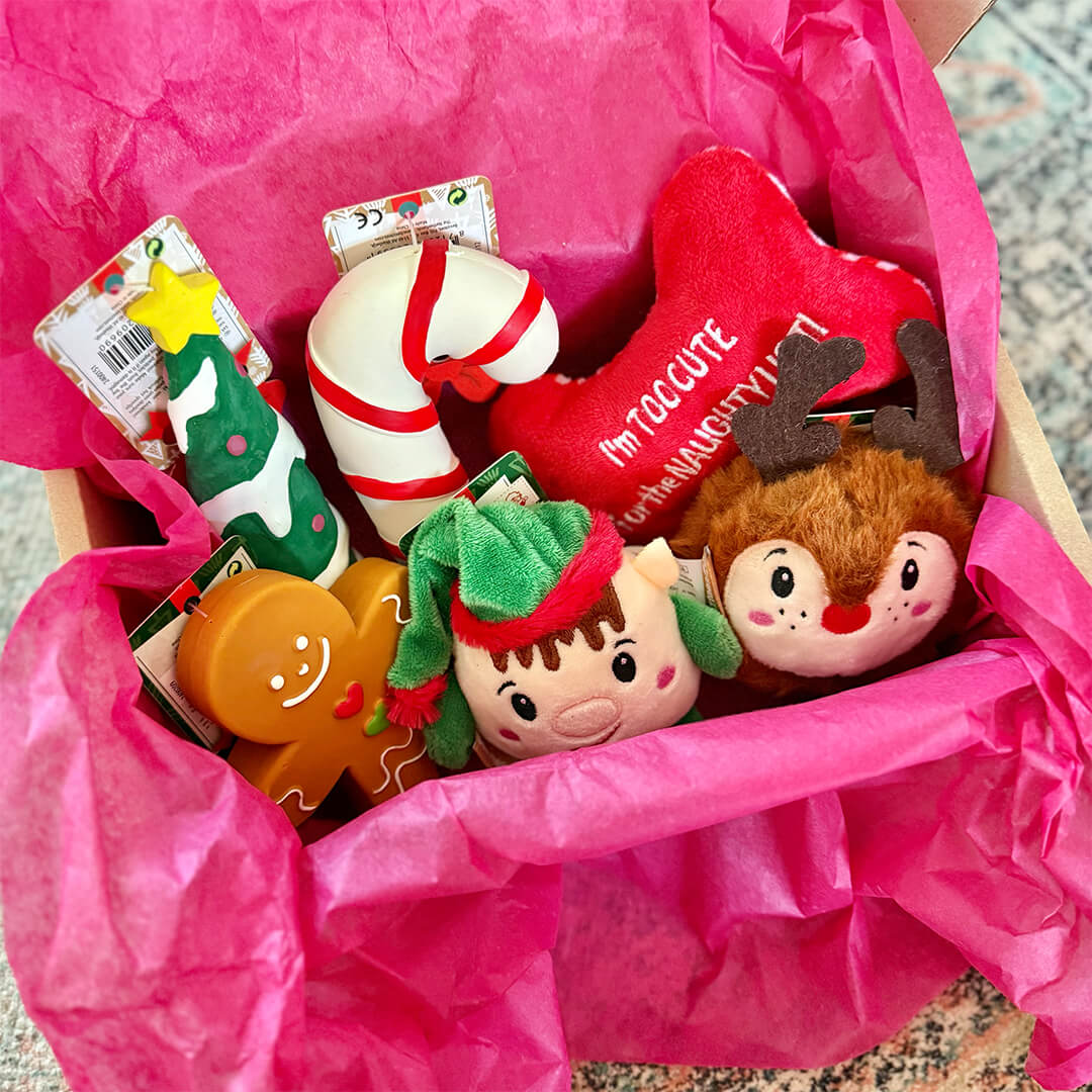 Kerstpakket - Cute Sante