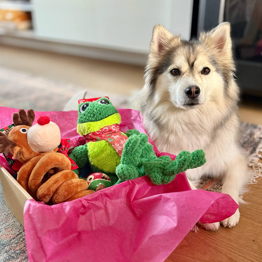 Kerstpakket - Hoppy Holiday