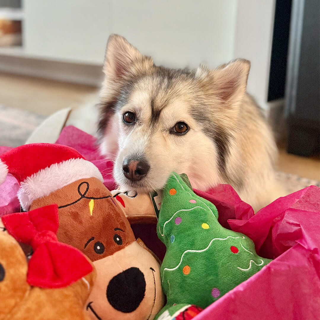 Kerstpakket - Everything XMAS