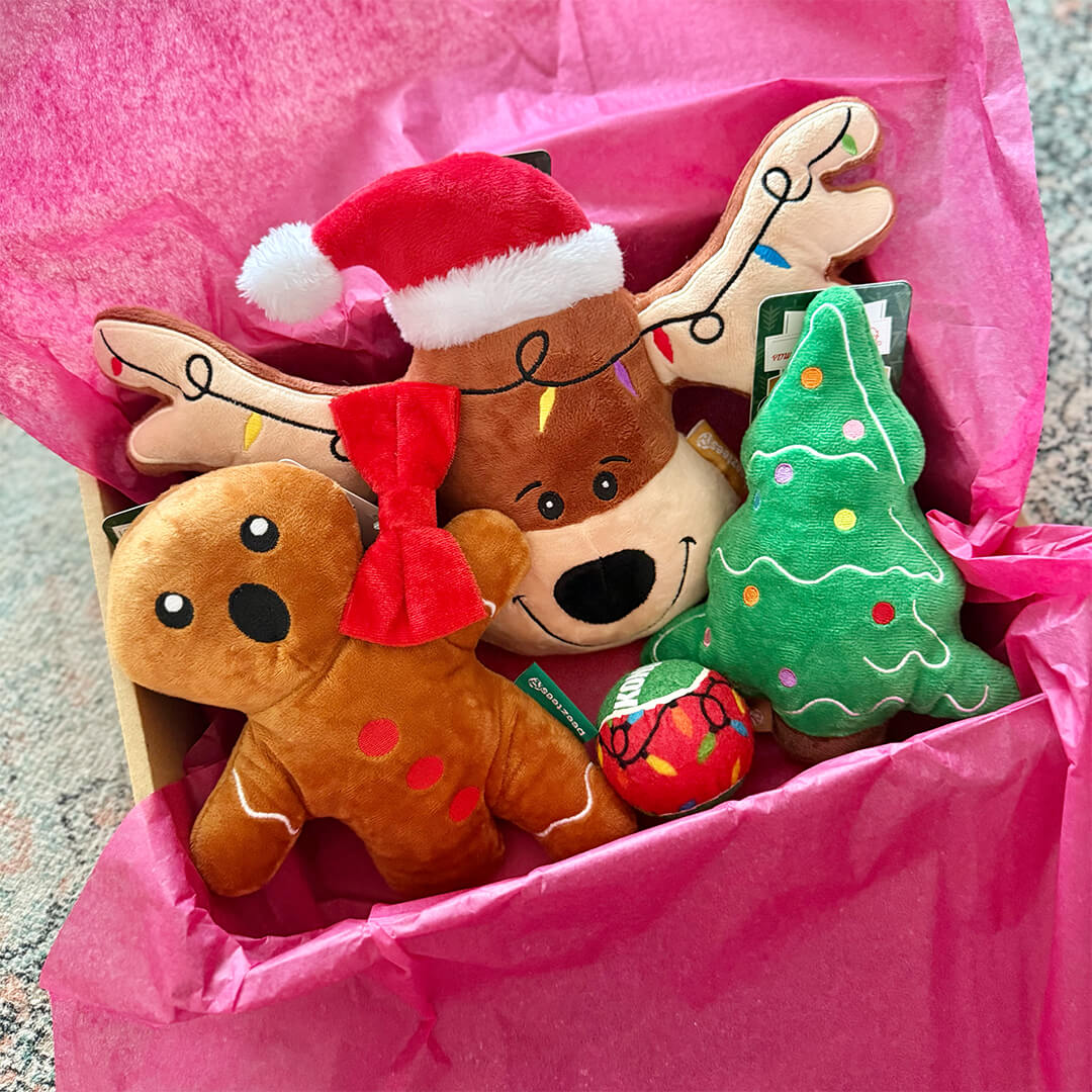 Kerstpakket - Everything XMAS