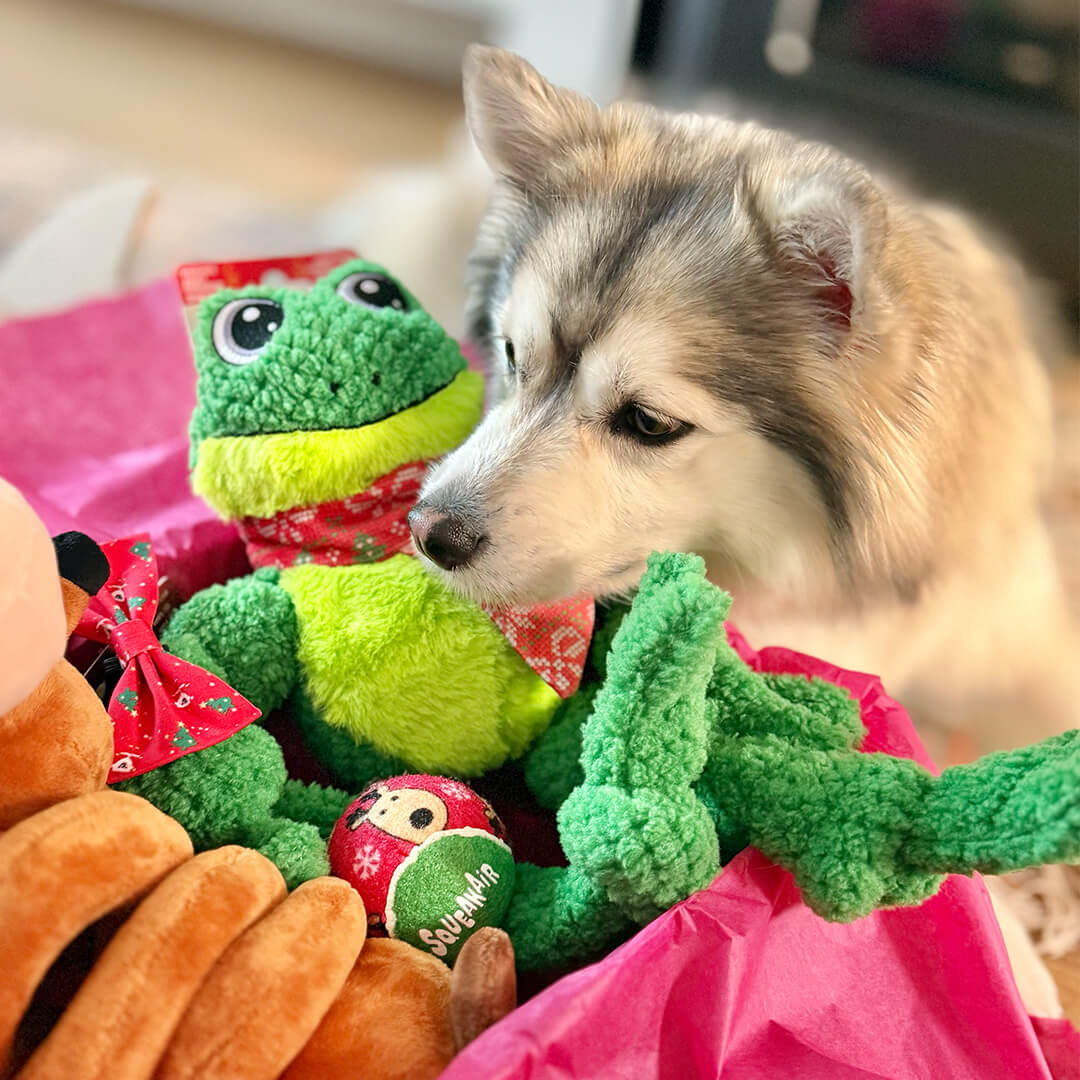 Kerstpakket - Hoppy Holiday