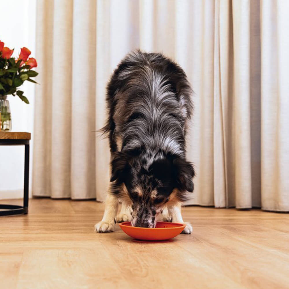 Beeztees - Likmat Schotel Rood