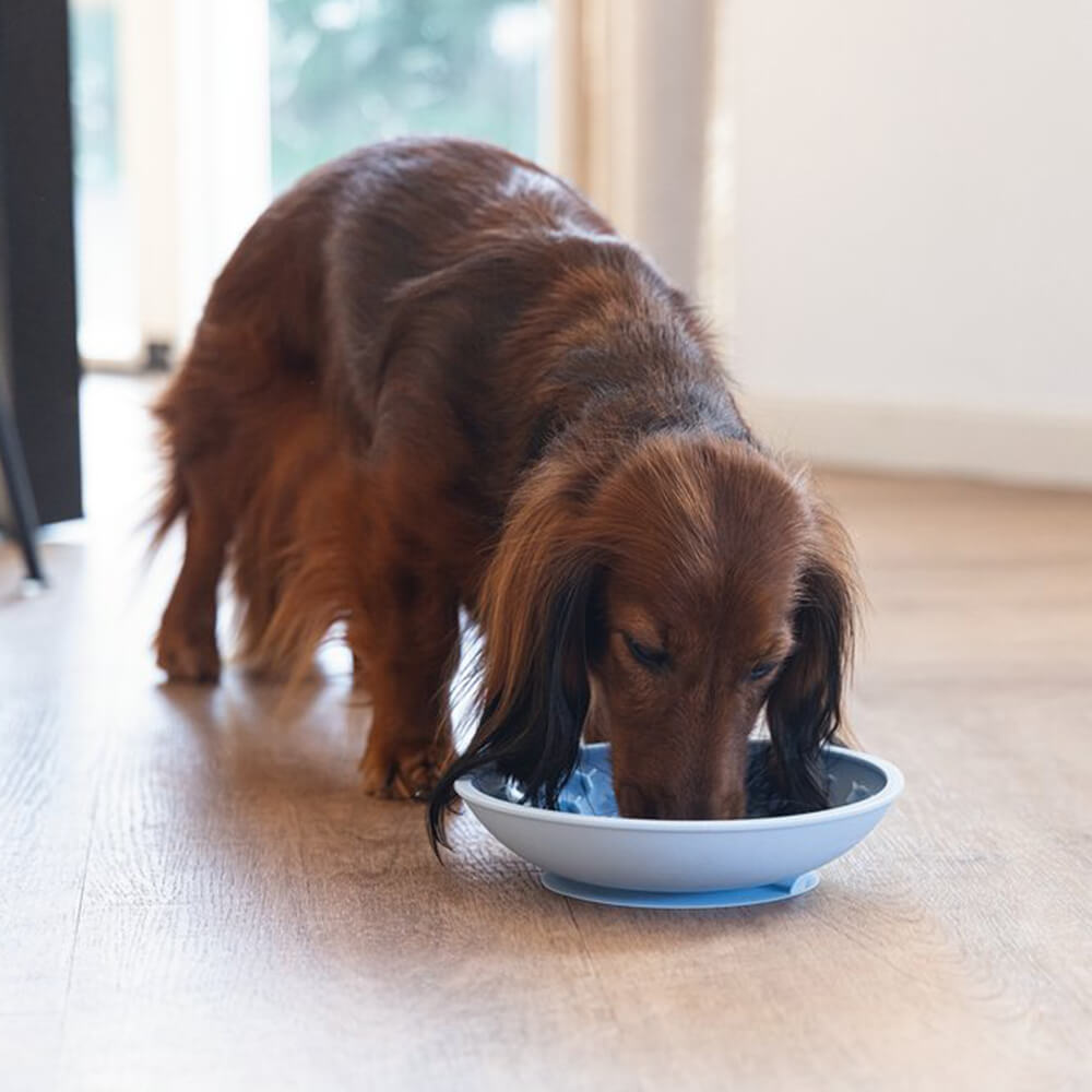 Beeztees - Likmat Schotel Lichtblauw