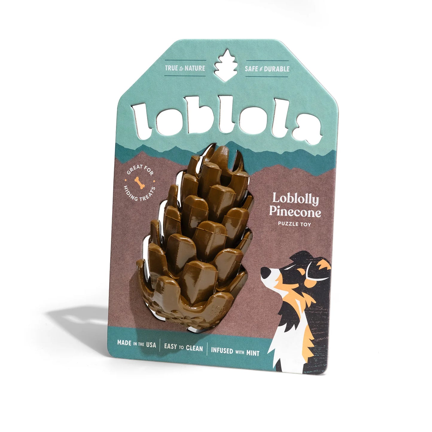 Loblola bij Neusje van Geusje - Loblolly Pinecone