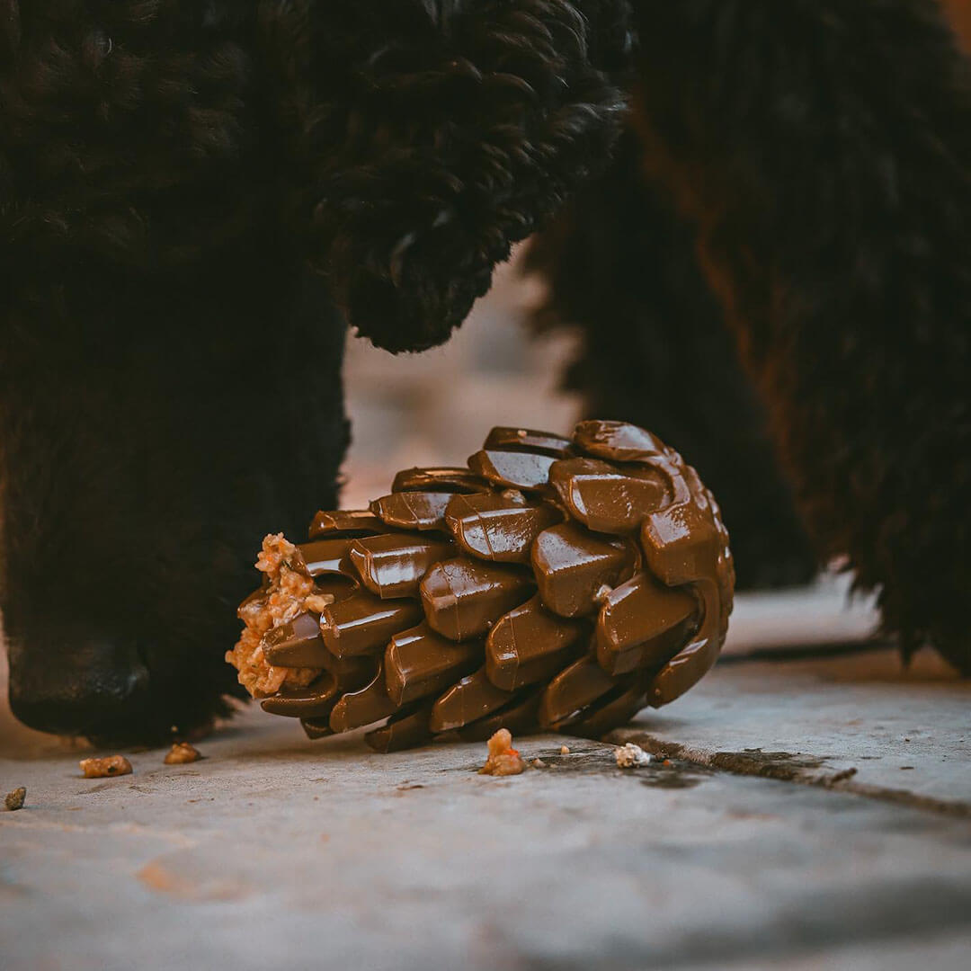 Loblola bij Neusje van Geusje - Loblolly Pinecone