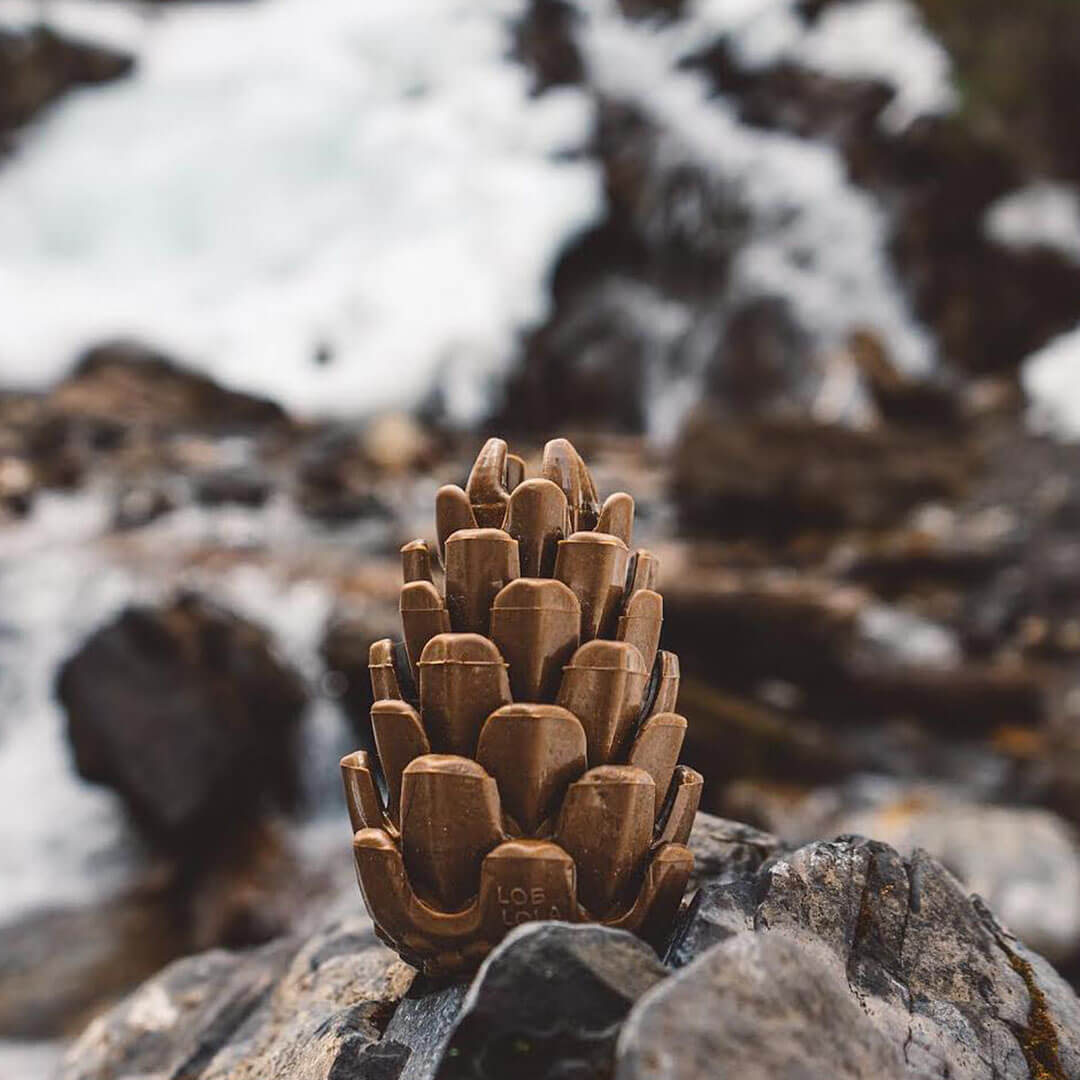 Loblola bij Neusje van Geusje - Loblolly Pinecone