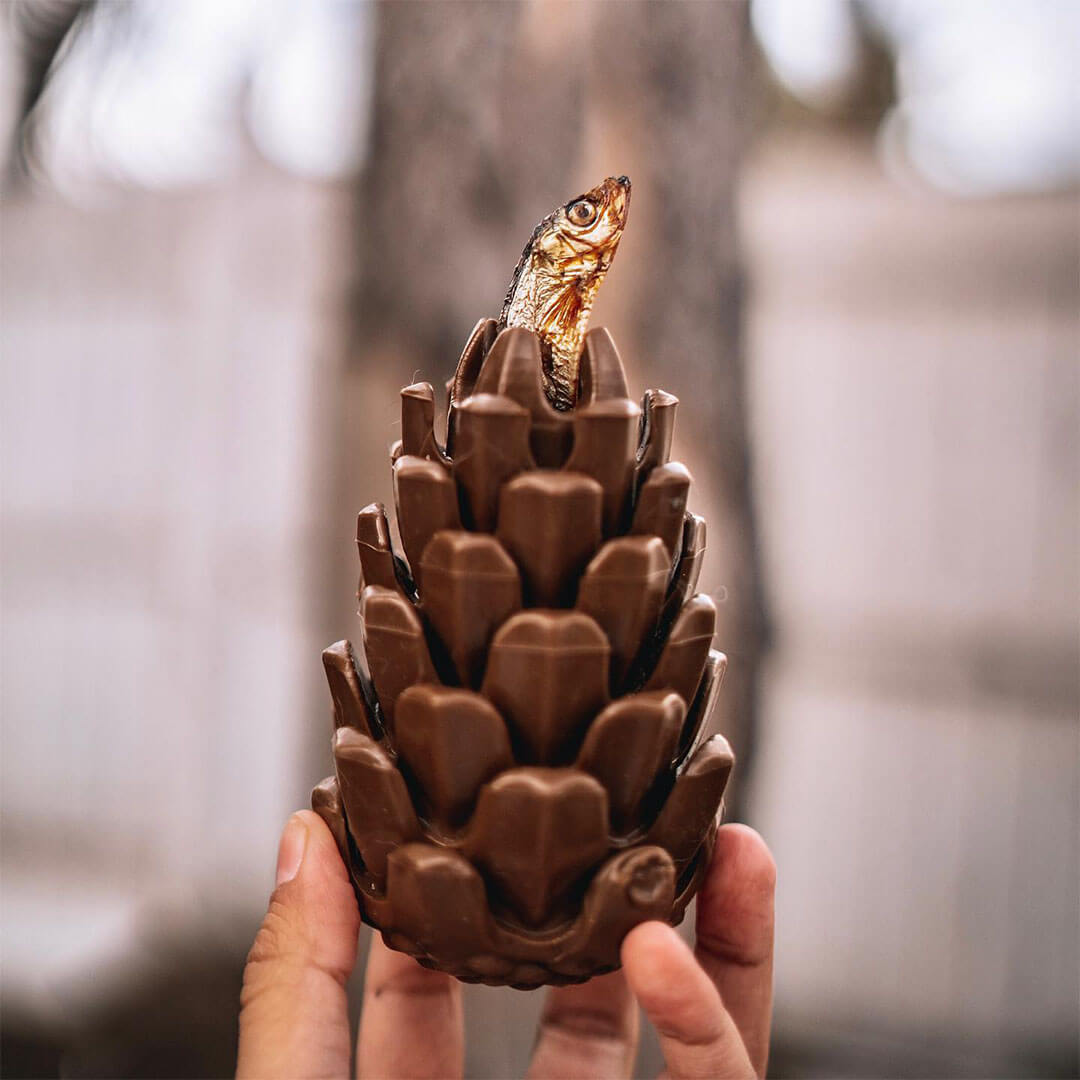 Loblola bij Neusje van Geusje - Loblolly Pinecone