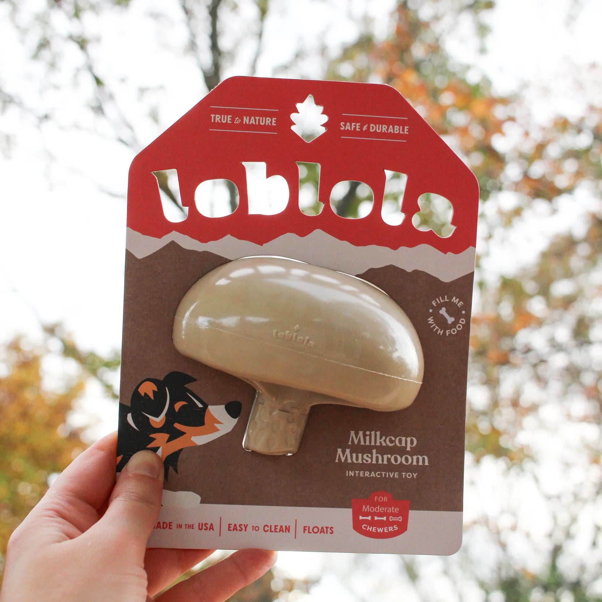 Loblola bij Neusje van Geusje - Milkcap Mushroom - Interactive Toy