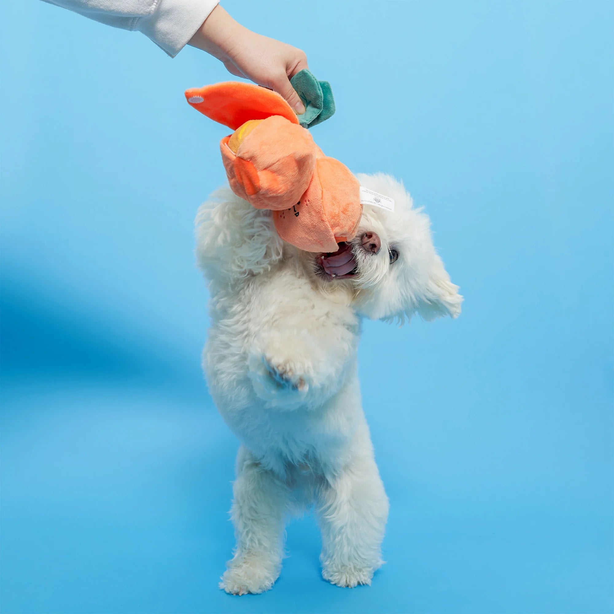 The Furryfolks - Orange (17 cm)