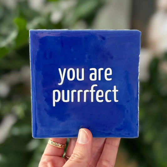Quote Tegel - You are purrrfect - 10 x 10 cm